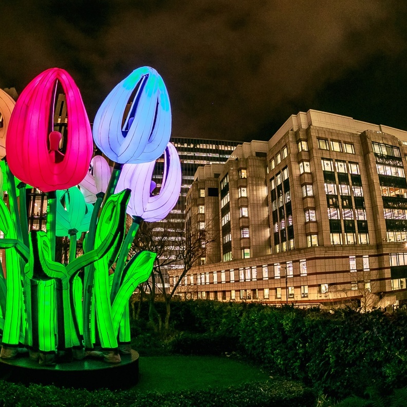 أضواء دبي تزيد من بهجة التجربة