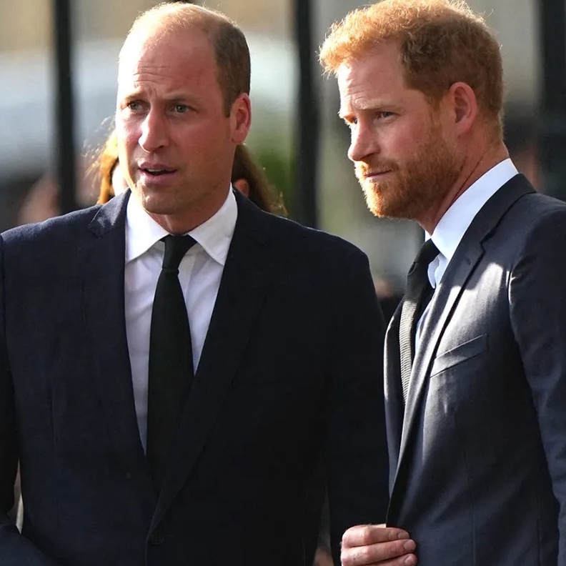 تعرفي على نشاط أعياد الميلاد المفضل للأميرين وليام وهاري عندما كانا صغيرين