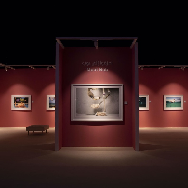 أجمل تجارب ومغامرات المصورين حول العالم في مهرجان التصوير "اكسبوجر"