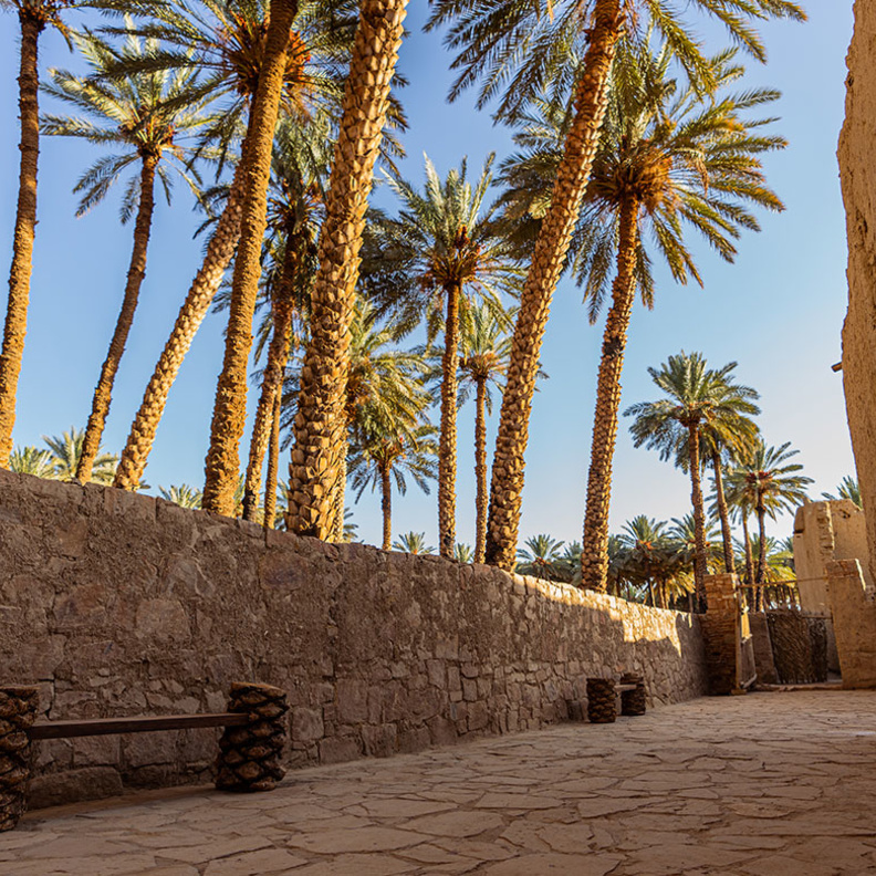 5 تجارب ساحرة تنتظر عشاق التراث والتاريخ في تيماء