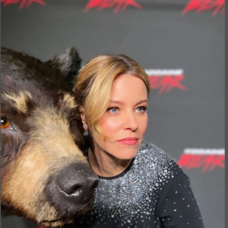 طرح برومو فيلم "Cocaine Bear"