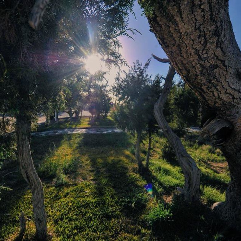 أجواء مثالية للاستجمام في غابة خيرة