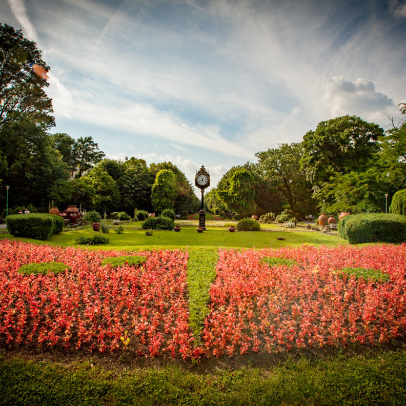 الحديقة النباتية من أجمل الأماكن السياحية في بوخارست بواسطة Erik Törner