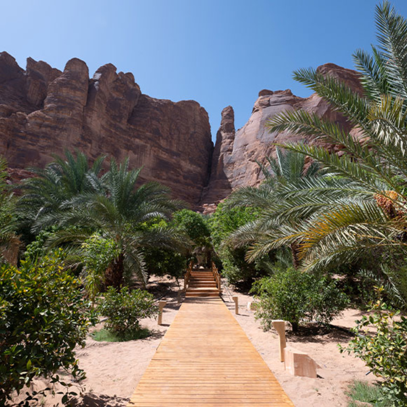 دروس يوغا وسط المناظر الطبيعية في فعالية فايف سنسِس سانكشواري