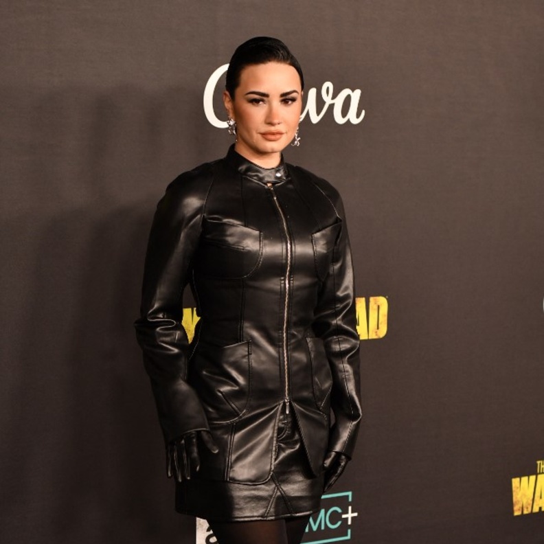 ديمي لوفاتو