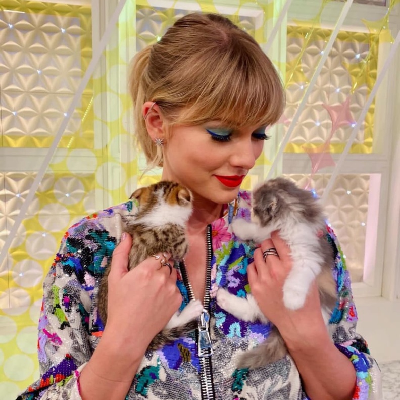 تايلور سويفت وقصة قطتها الغنية