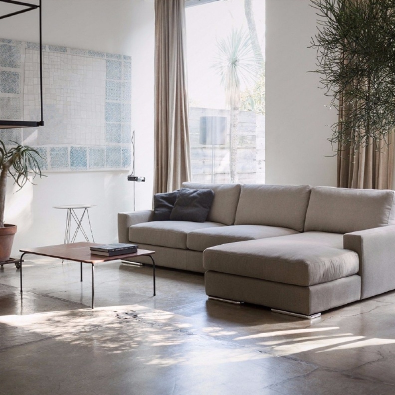 أحواض النباتات تزيين غرفة المعيشة