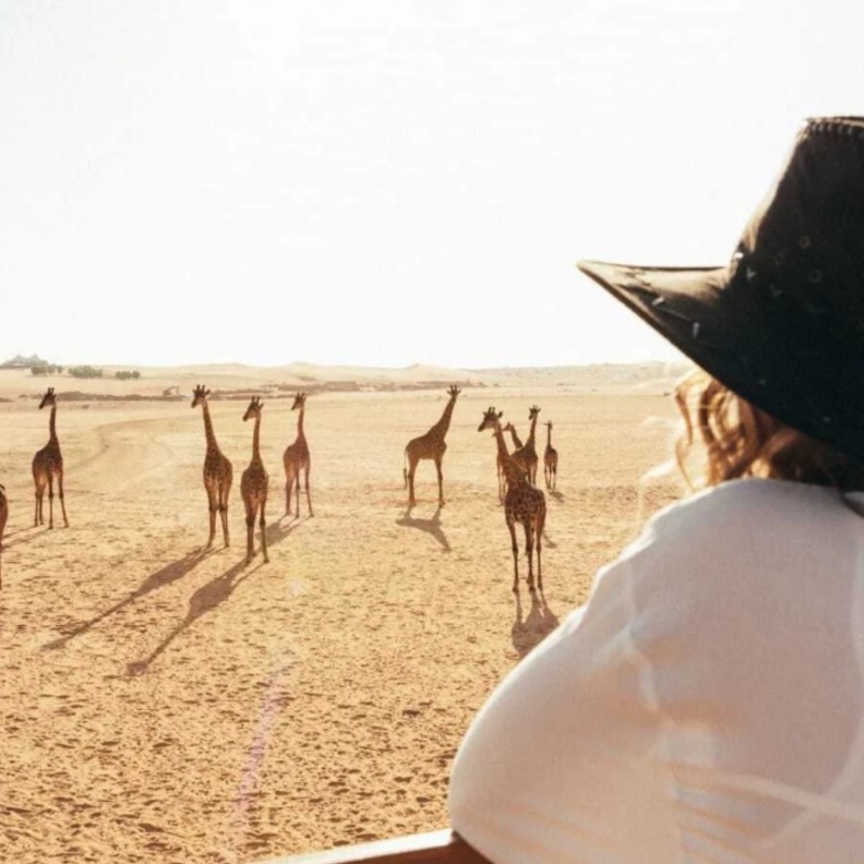 استكشفوا الحياة البرية في سفاري نوفا