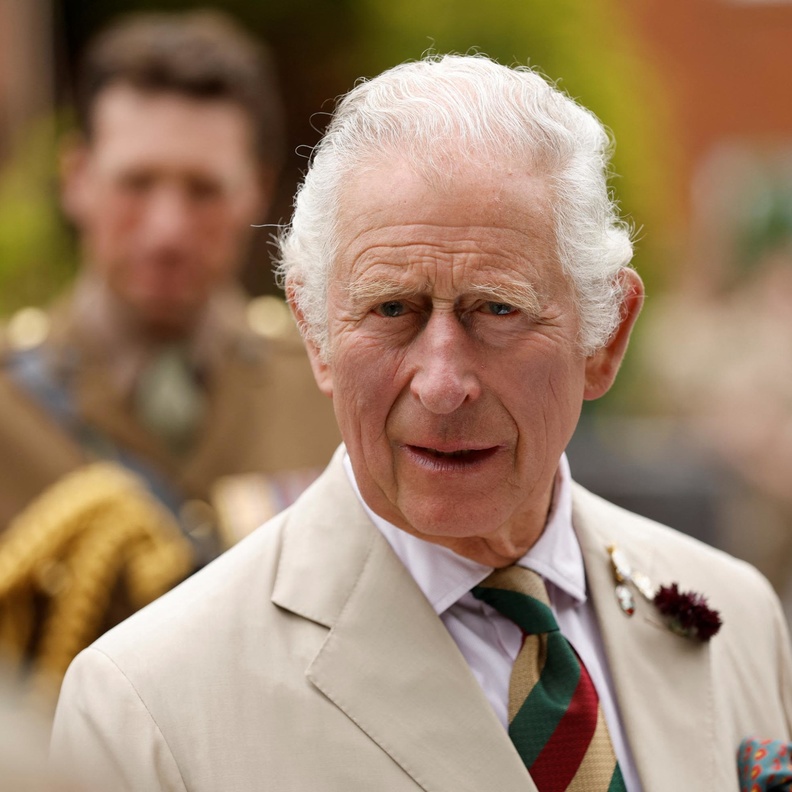 الملك تشارلز والعمل الخيري