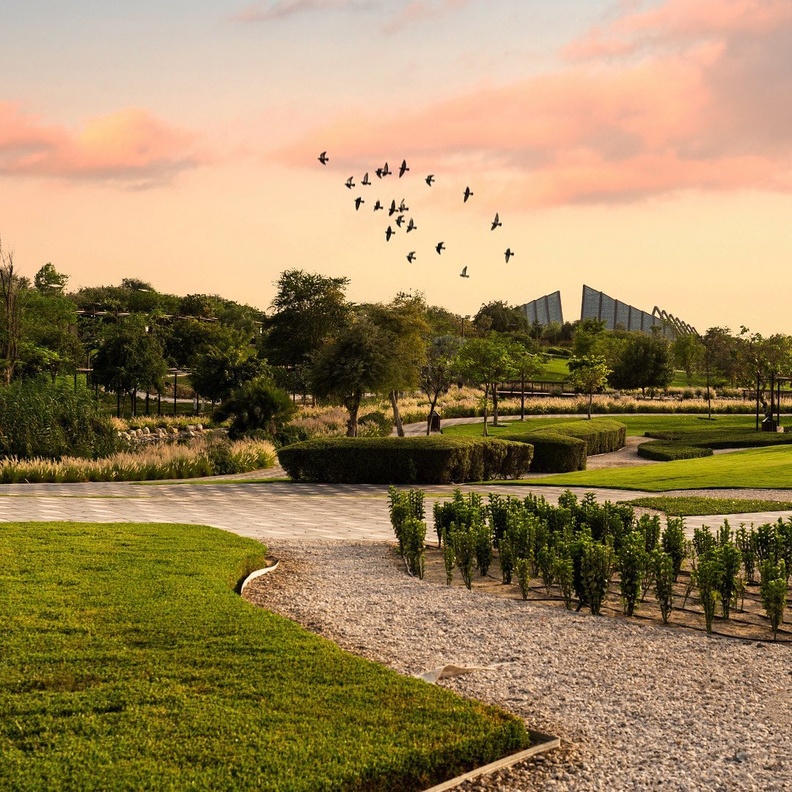 الهدوء والطمأنينة في دبي سفاري بارك