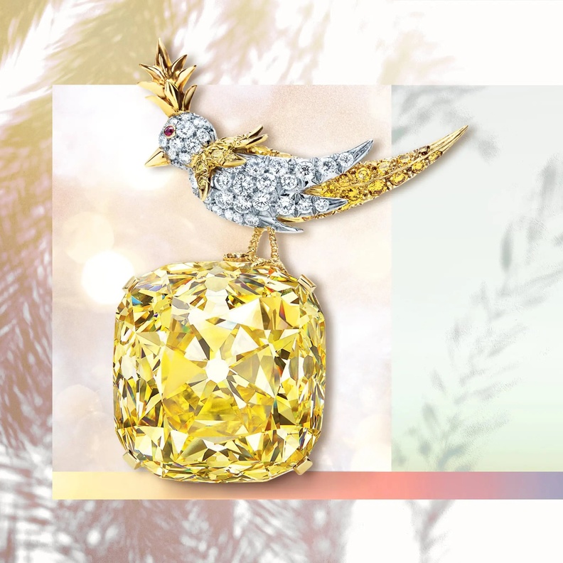 بروش Bird on a Rock من ابداع جان شلامبرجيه لعلامة تيفاني