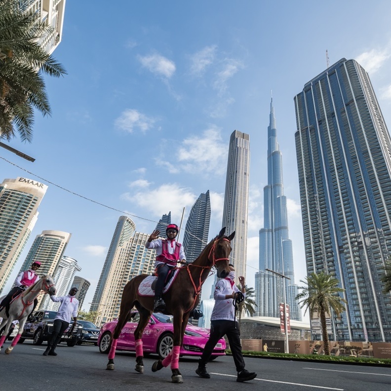 فرسان القافلة الوردية أثناء مرورها في شوارع دبي