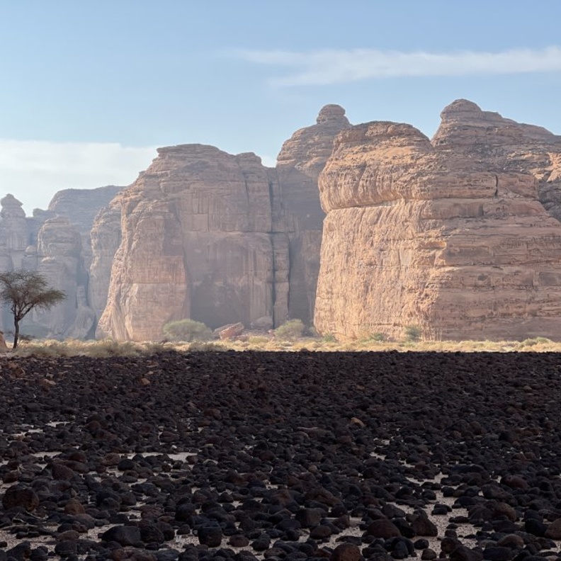 مؤسسة كاتموسفير تطلق مبادرتها الجديدة مسارات كات ووك، في العلا