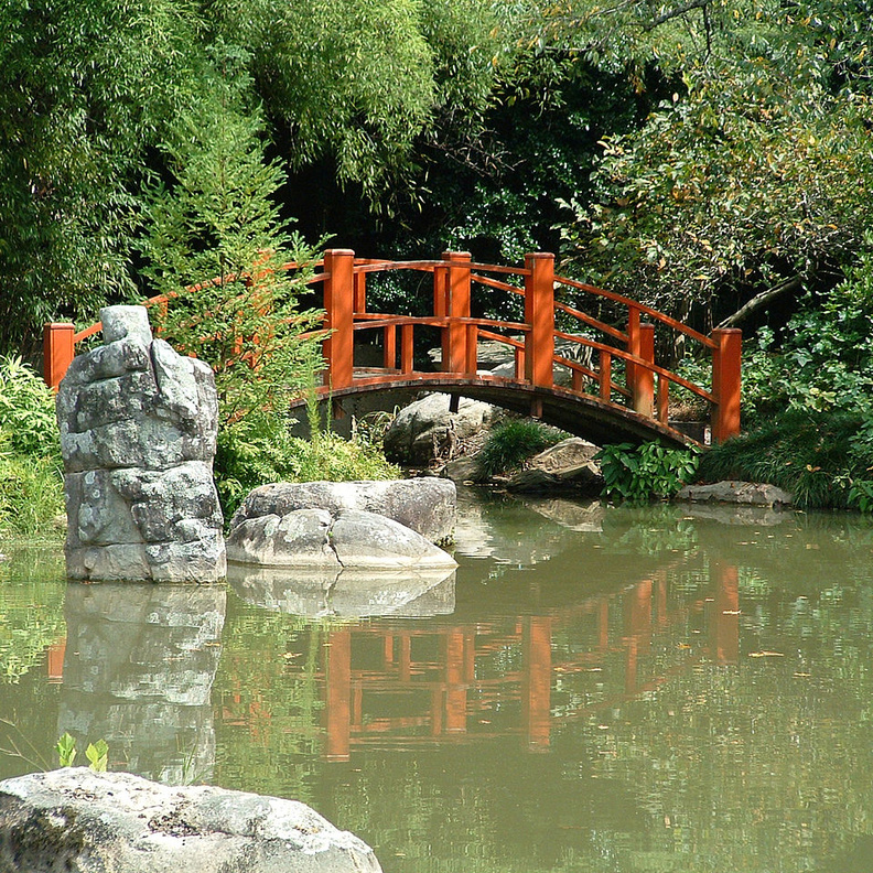 الحديقة النباتية في برمنجهام بواسطة  Max Wolfe