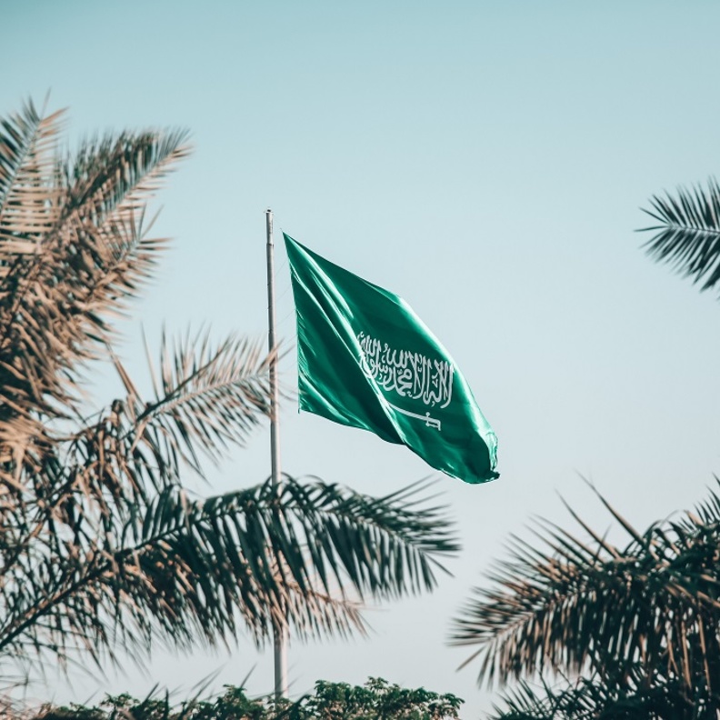 تخصيص 11 مارس من كل عام يوما للعلم الوطني السعودي