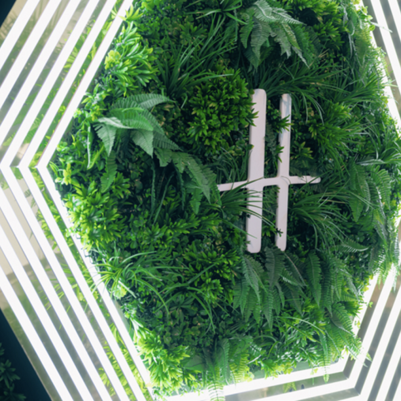 برنامج "هارودز هايف"