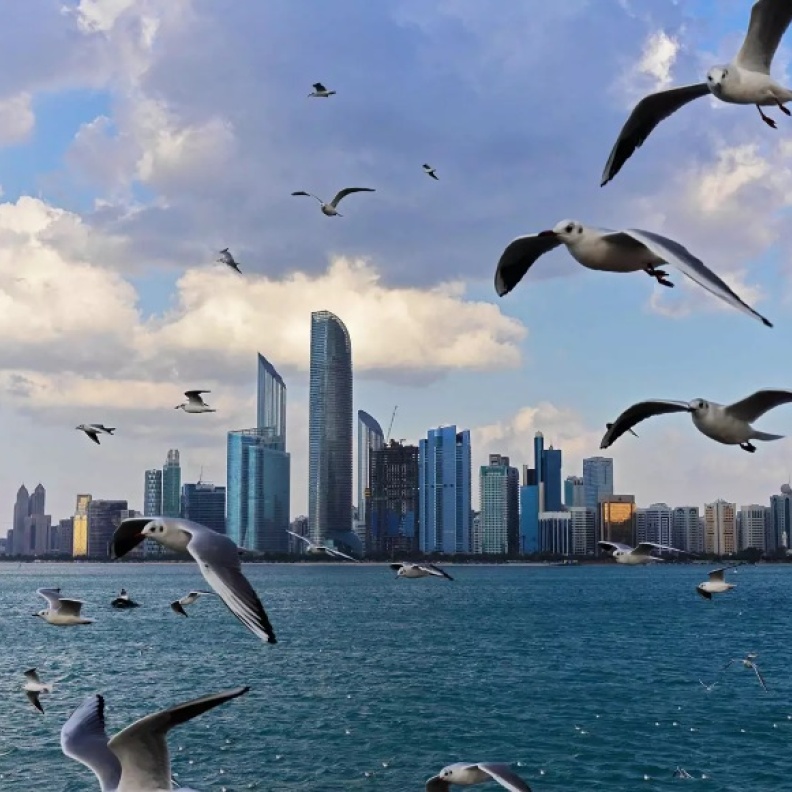 أفضل 10 معالم سياحية يمكنكم زيارتها في أبوظبي