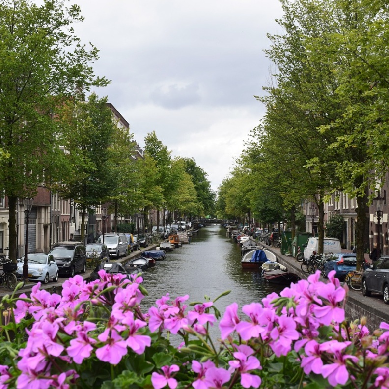 استمتع بالسفر الى هولندا في الصيف مع هذه النصائح بواسطة maxpixel