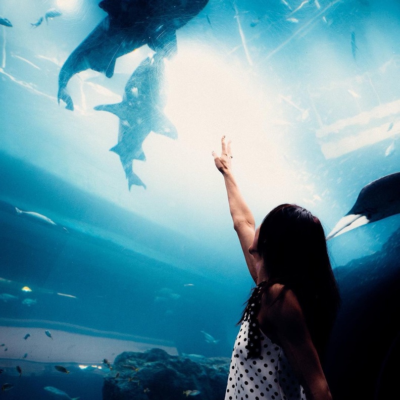 7 تجارب ترفيهية عائلية لا تفوتوها في دبي 