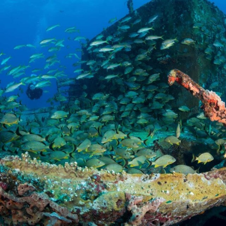 موقع حطام بارجة الاسمنت CEMENT BARGE