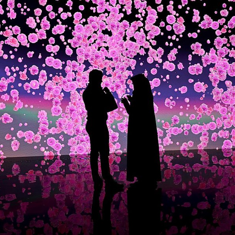 مهرجان طائف الورد.. لوحات فاتنة وتجارب جديدة لعشاق الورود بين السحاب  