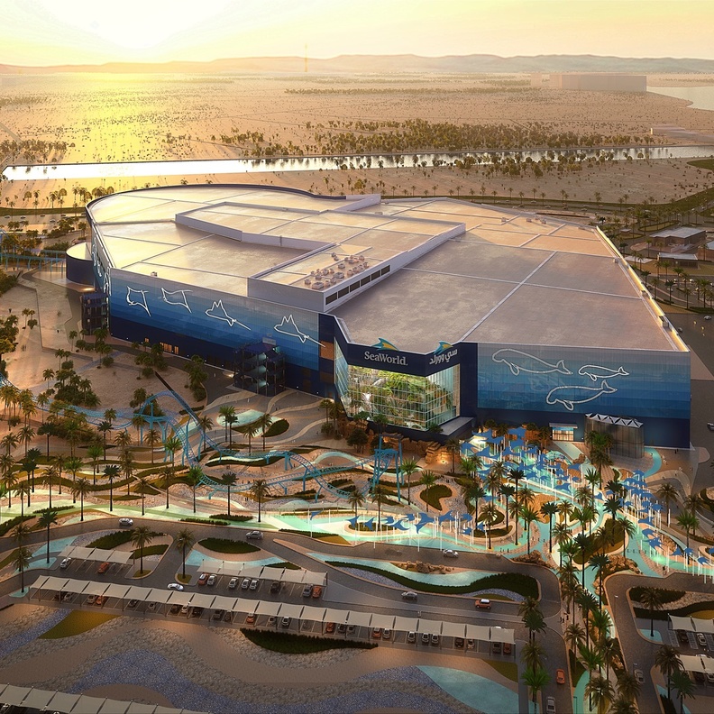 سي وورلد ياس.. أحدث مدينة ترفيهية للأحياء البحرية في أبوظبي