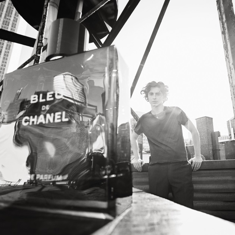 النجم تيموتي شالامي