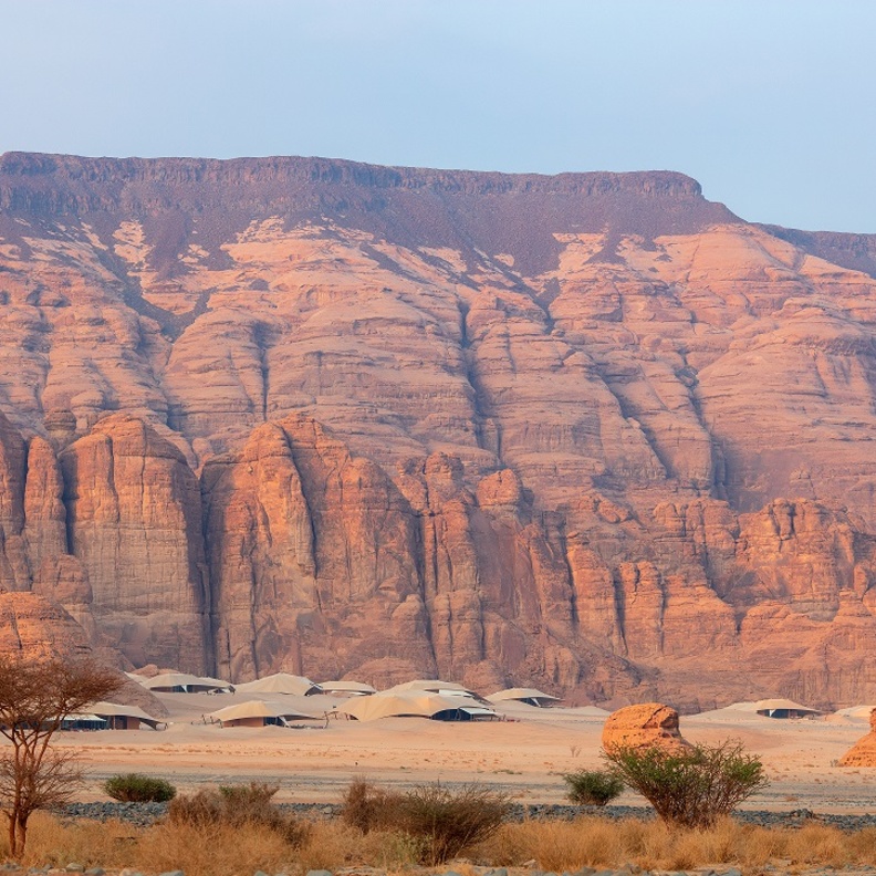 منتجع "بانيان تري العُلا"