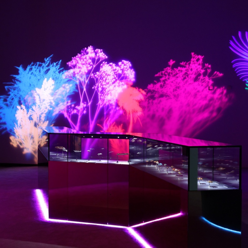 معرض "الزمن، الطبيعة، الحب" لدار فان كليف أند آربلز