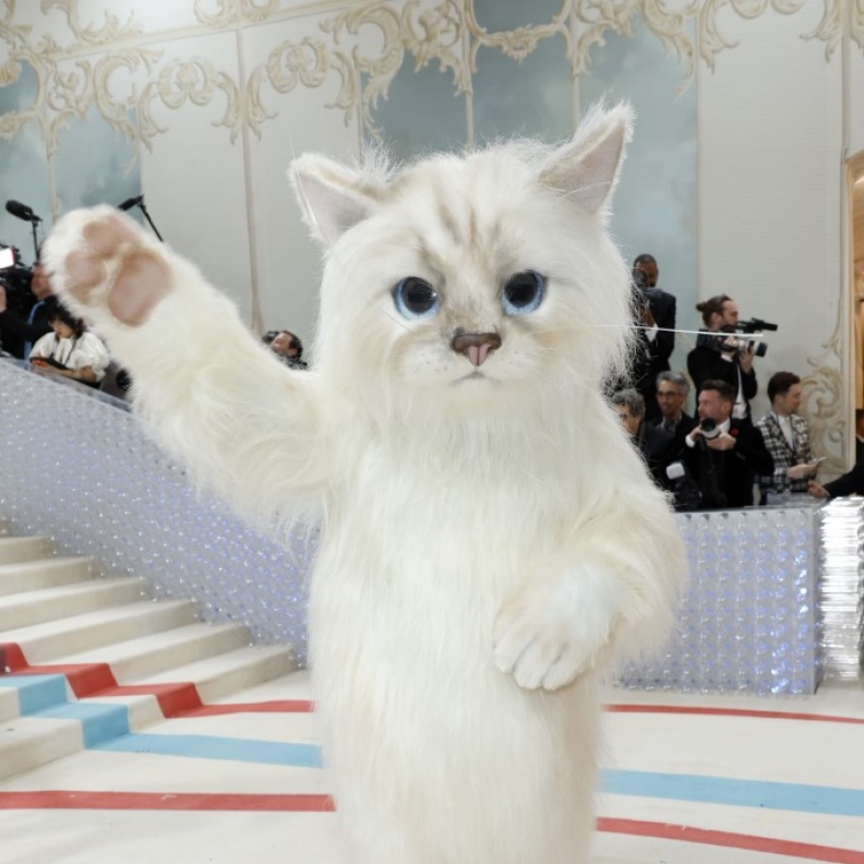 الإشادة بشوبيت في Met Gala 2023