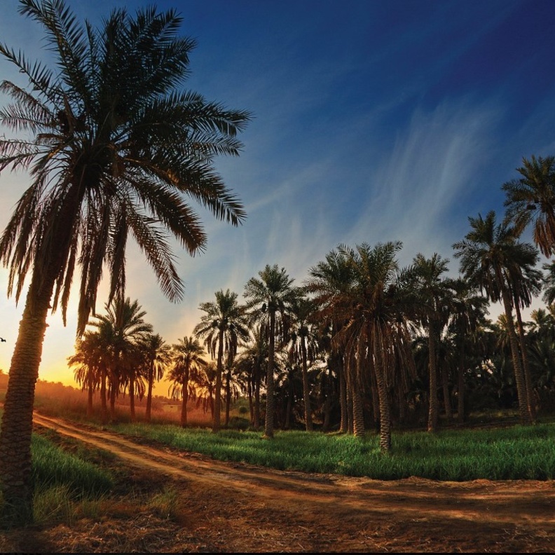 كنوز لا مثيل لها.. 10 وجهات طبيعية تستحق زيارتها بالسعودية