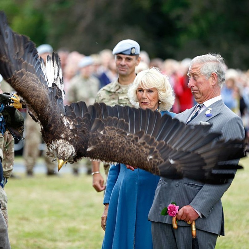 صور غريبة وطريفة التقطت لأفراد العائلة المالكة البريطانية على مر السنوات