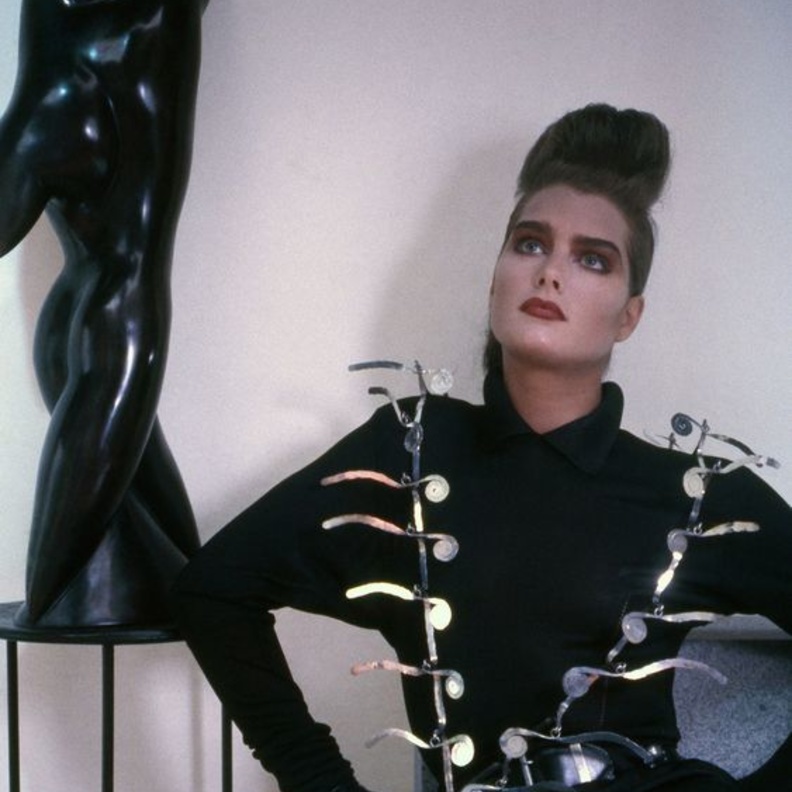 بروك شيلدز تعتمد مجوهرات نحتية من ألكسندر كالدر، 1985.