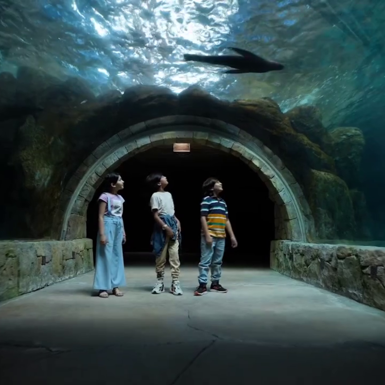 سي وورلد أبوظبي