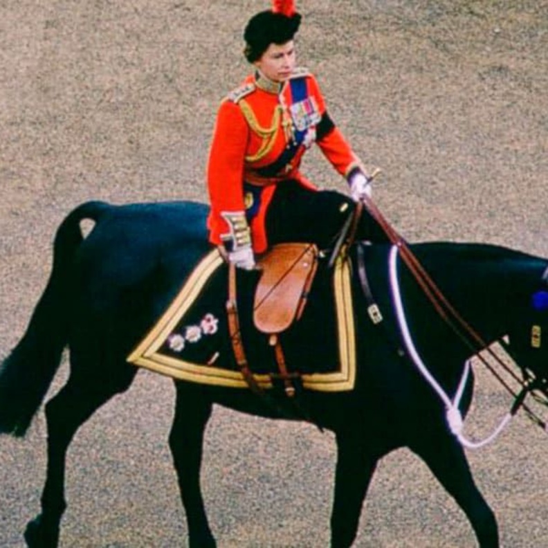 في عام 1969 تلقت الملكة فرس أسود بورمي كهدية من شرطة الخيالة الكندية الملكية وضمته الملكة إلى مجموعاتها الخاصة من الخيول