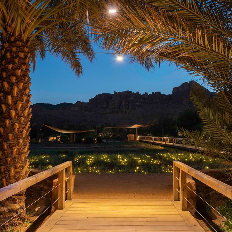 واحة ديمومة.. وجهة تنبض بالحياة في العلا