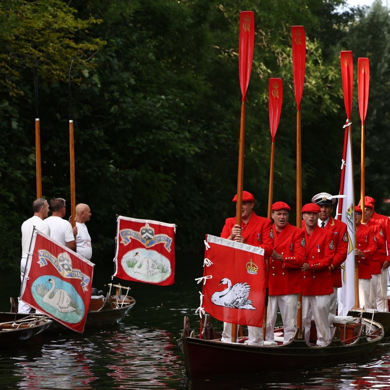 الملك تشارلز الثالث يشارك في إحصاء بجع نهر التايمز