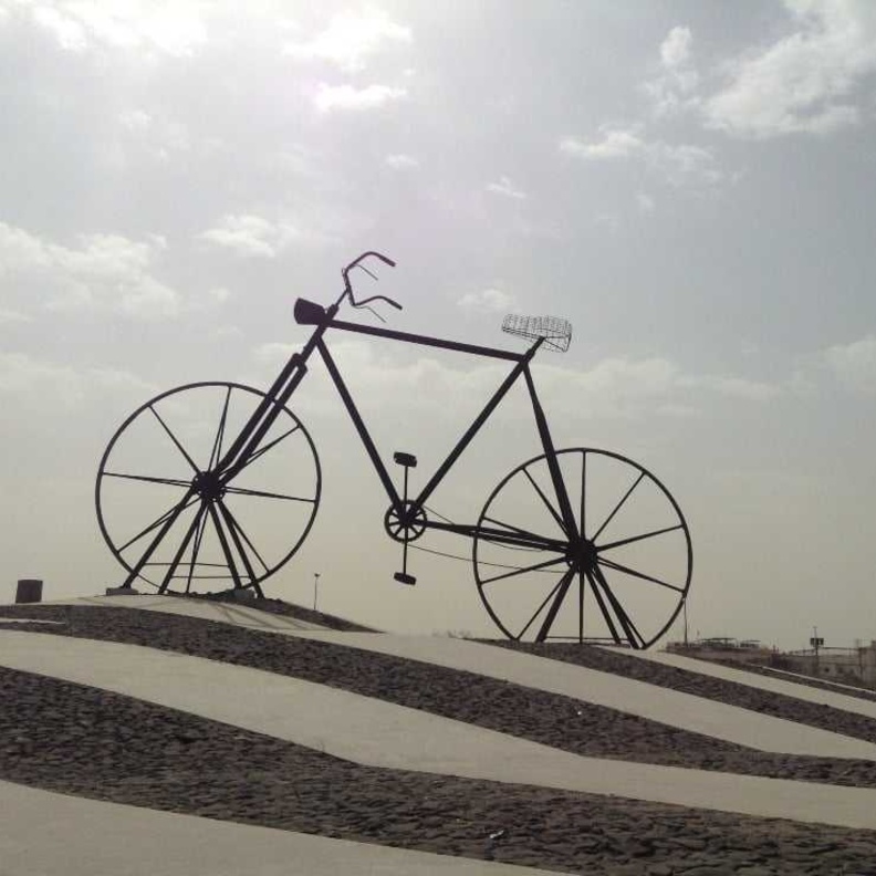 رحلة استكشاف المجسمات الفنية: ترسيخ الذوق الجمالي في المملكة