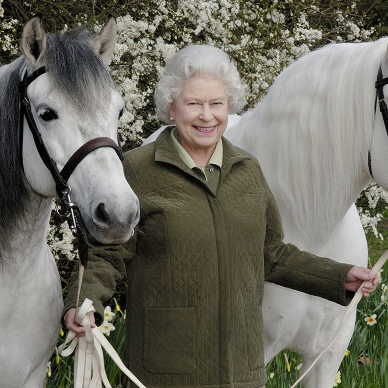 أجمل صور أفراد العائلة المالكة البريطانية بصحبة خيولهم