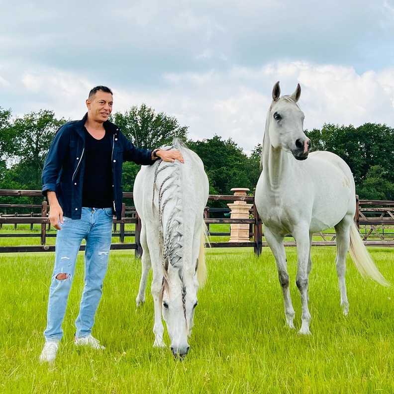 مصطفى شعبان 