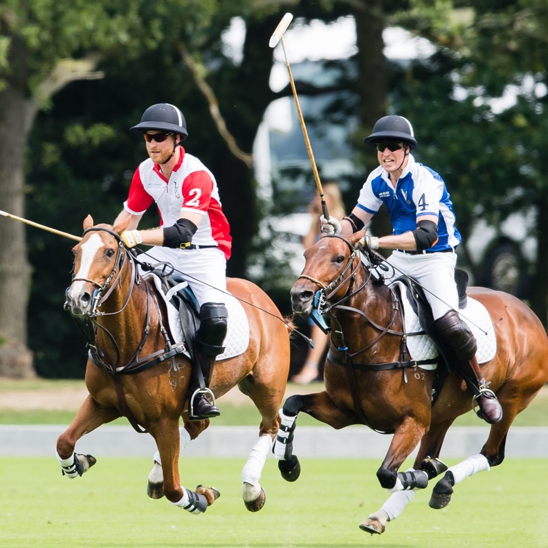 أفراد العائلة المالكة البريطانية أثناء ممارستهم أنواع رياضات مختلفة