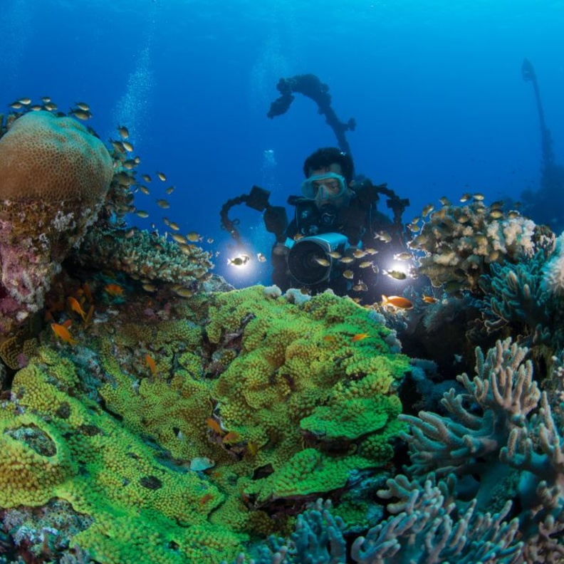 تعشقين الطبيعة والأجواء البحرية.. إليك أجمل 7 تجارب يمكنك الاستمتاع بها في ينبع