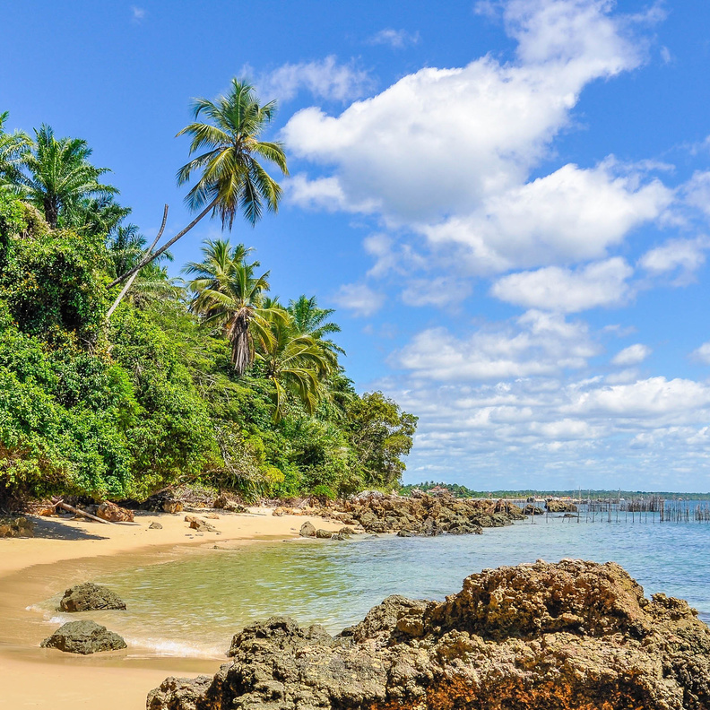 خططي لرحلتك السياحية القادمة في أجمل الجزر البرازيلية