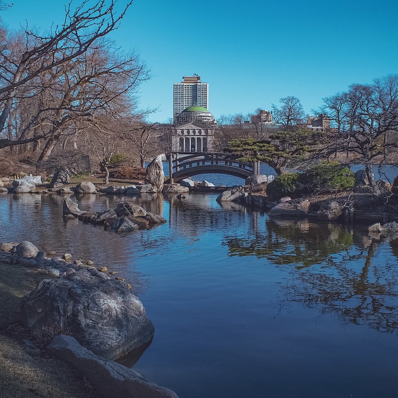 حديقة جاكسون بارك في شيكاغو بواسطة Michael Christensen