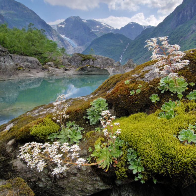 شاهدي أجمل الحدائق الوطنية في النرويج