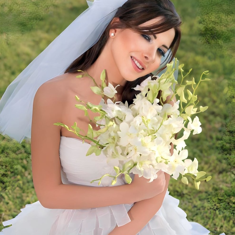 احتفلت الفنانة نانسي عجرم بزفافها في عام 2008