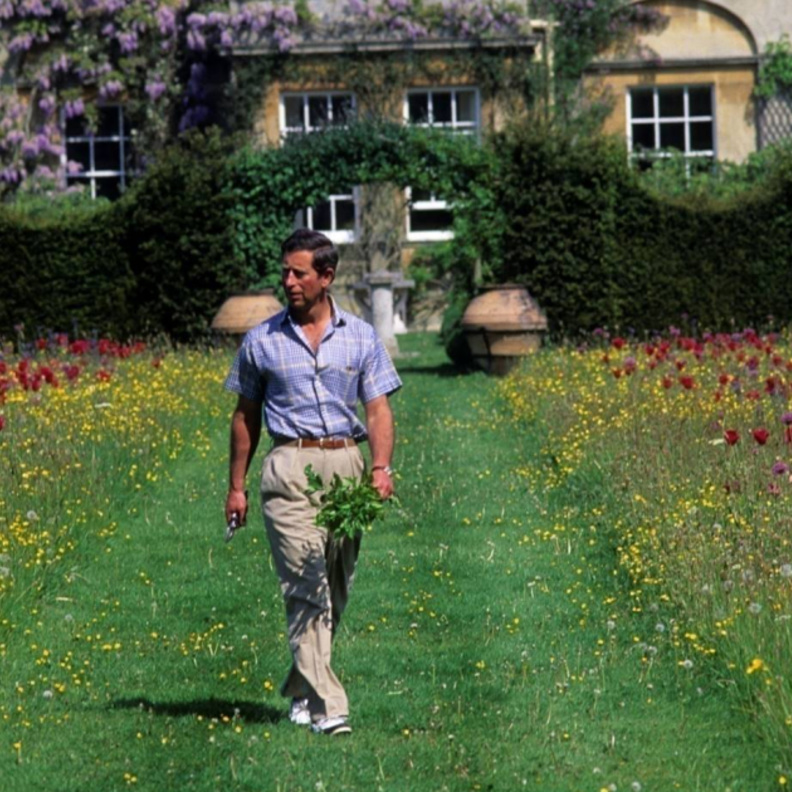 إنشاء مزرعة عضوية في هايجروف Highgrove