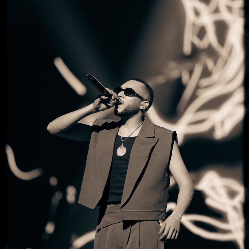 نجوم الغناء ومسارح حفلاتهم في أنحاء العالم منبرًا لدعم أهل غزة بطرق مختلفة.. شاهدوا