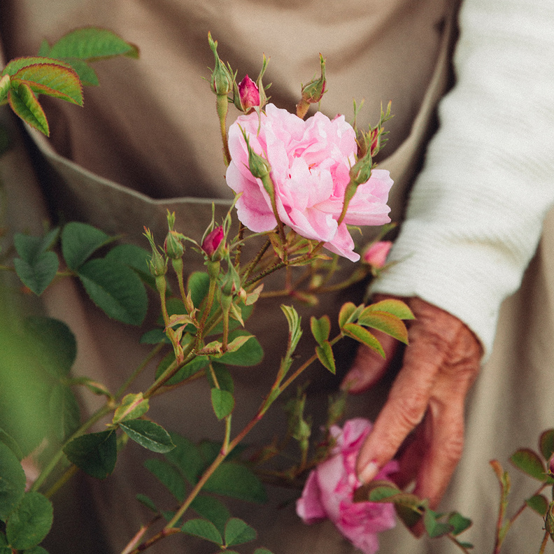 مستحضرات "لانكوم" تجدد إلتزامها بالاستدامة عبر الارتقاء بالعلوم الخضراء 