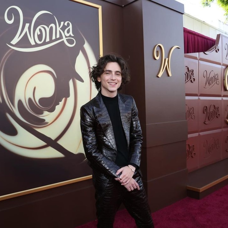 من الطفولة للشباب.. أدوار بارزة للنجم تيموثي شالاميت جعلته في الصدارة بالتزامن مع عرض فيلم "Wonka"